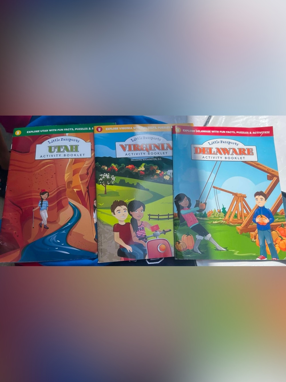 Virginia Activity Booklett - books